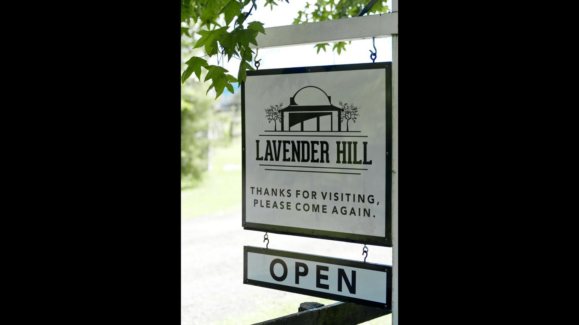 Lavender Hill Bed & Breakfast Riverhead Ngoại thất bức ảnh